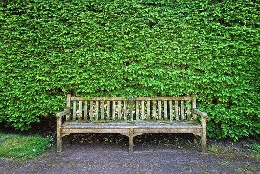 Trouver un jardinier spécialisé dans la taille des haies de jardin sur Saint André de Cubzac prés de Bordeaux